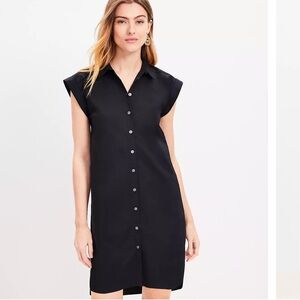 Ann Taylor LOFT Button-Down Dress